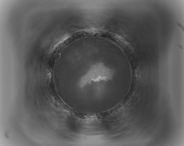 X0000102841302200808251147