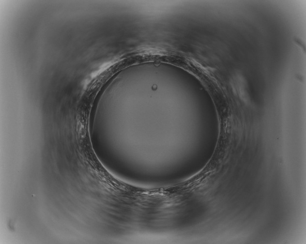 X0000102841303200808251147