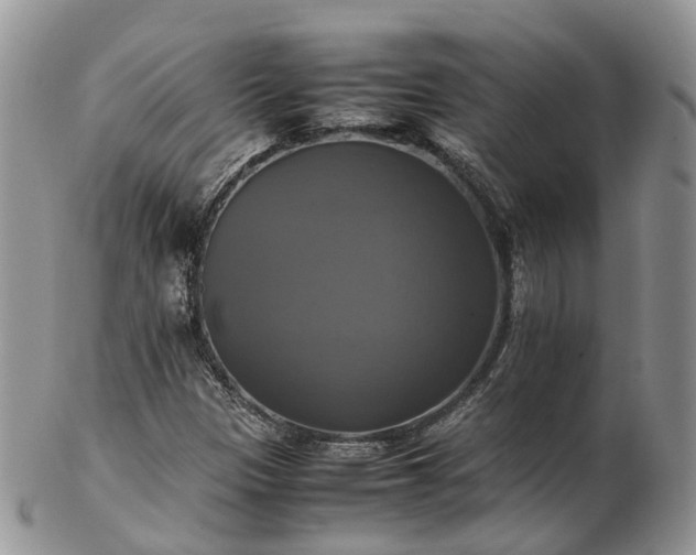 X0000102841305200808251147