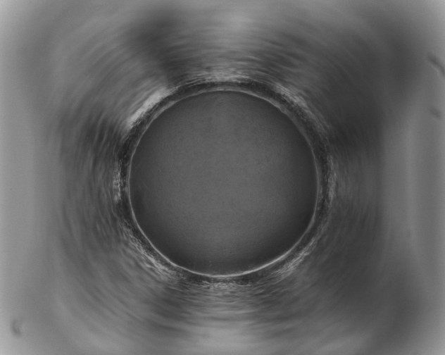 X0000102841306200808251147