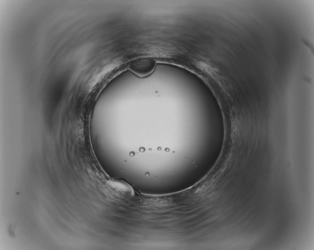 X0000102841307200808251147