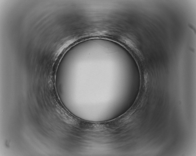 X0000102841308200808251147