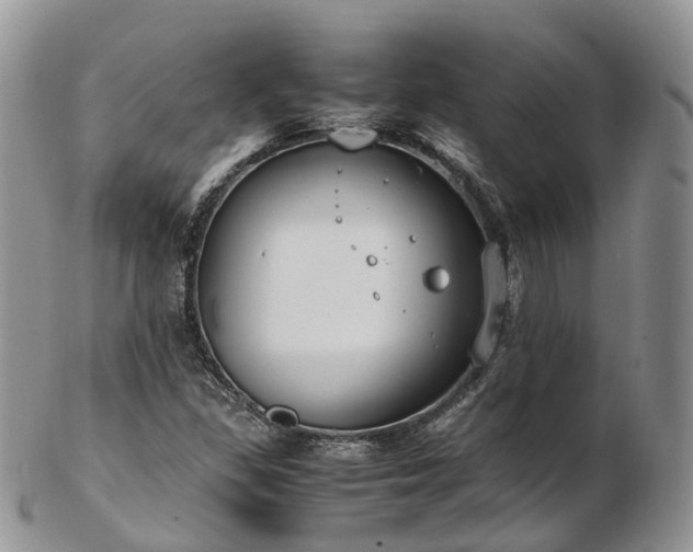 X0000102841309200808251147