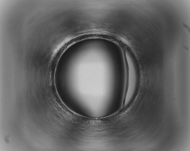 X0000102841310200808251147