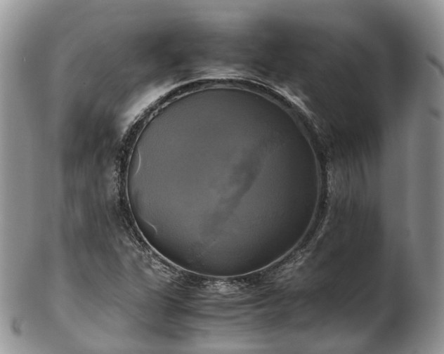 X0000102841311200808251147