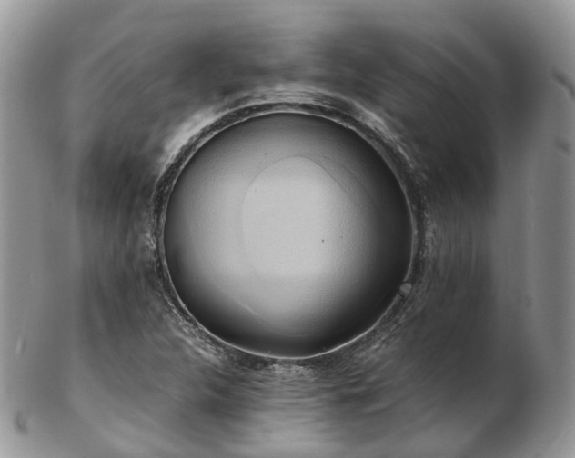 X0000102841312200808251147