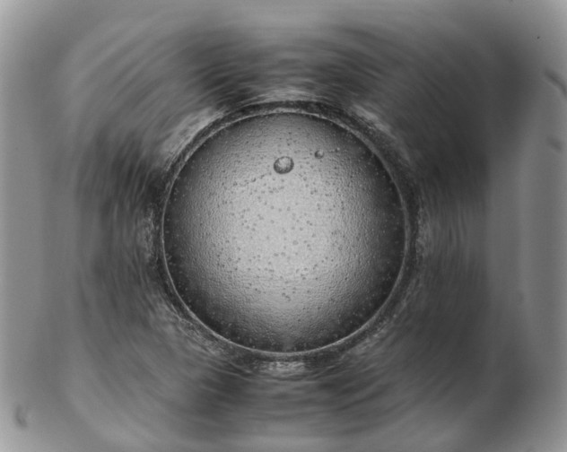 X0000102841313200808251147