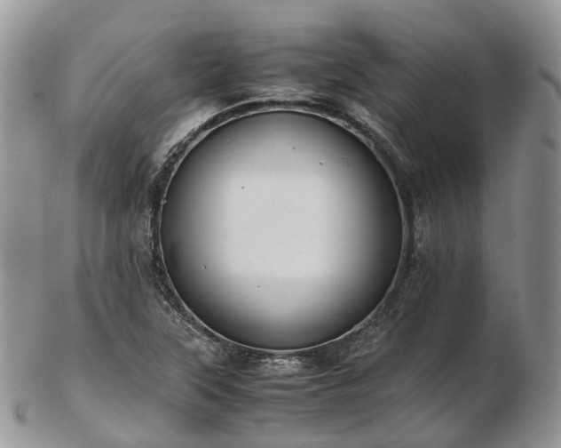 X0000102841315200808251147