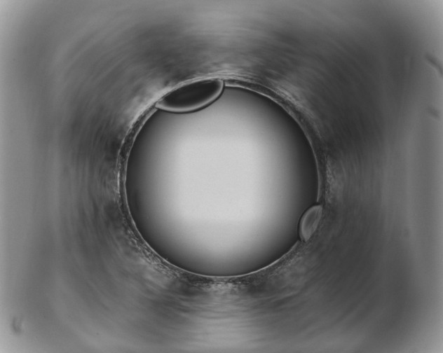 X0000102841316200808251147