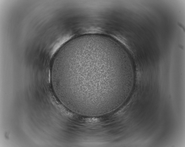 X0000102841317200808251147