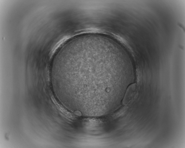 X0000102841318200808251147