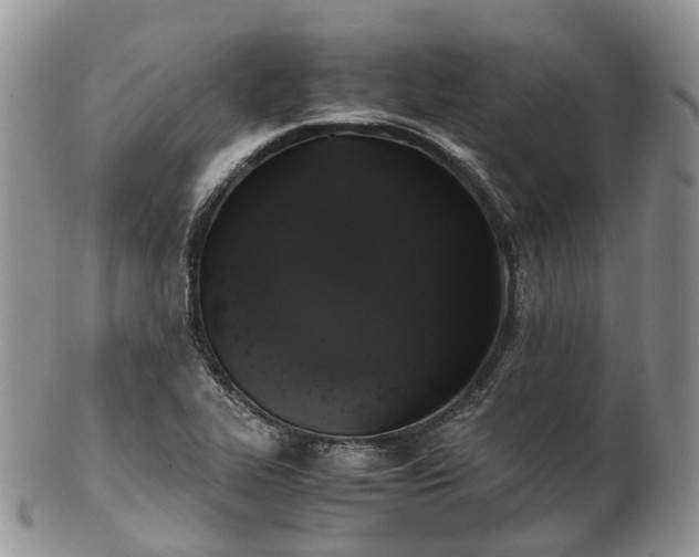 X0000102841319200808251147