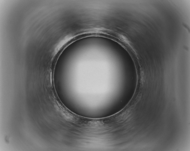 X0000102841320200808251147