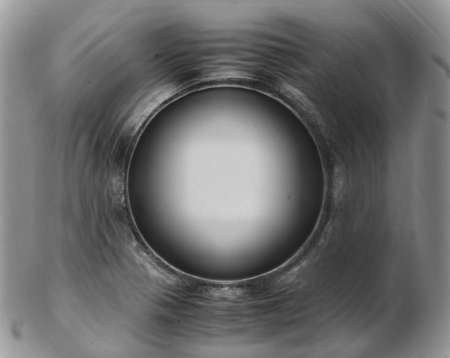 X0000102841321200808251147