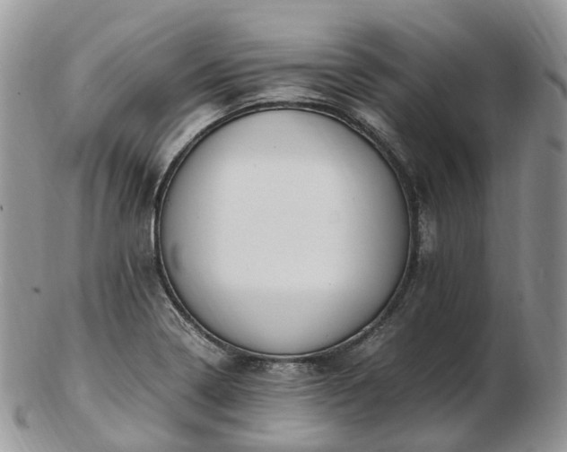 X0000102841322200808251147