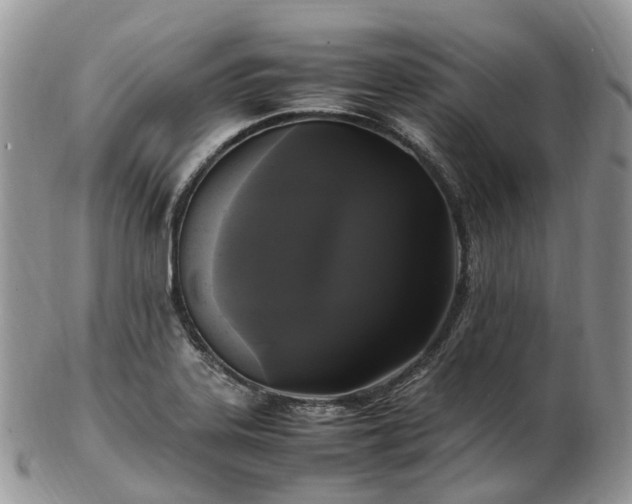 X0000102841323200808251147