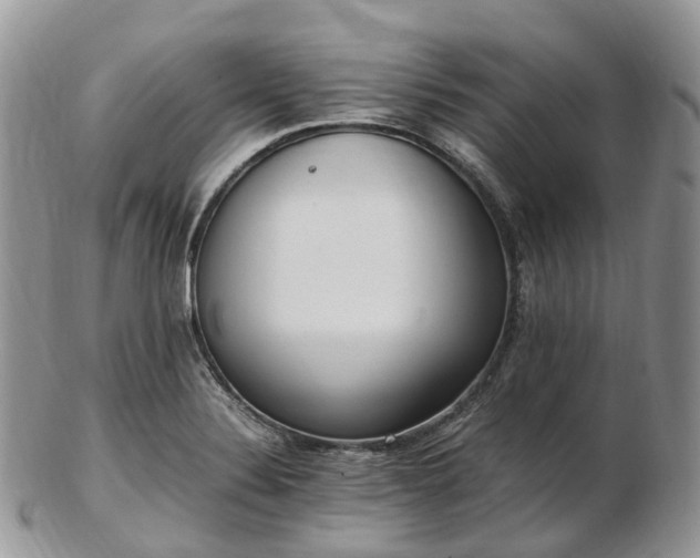 X0000102841324200808251147