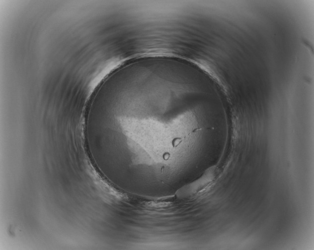 X0000102841325200808251147