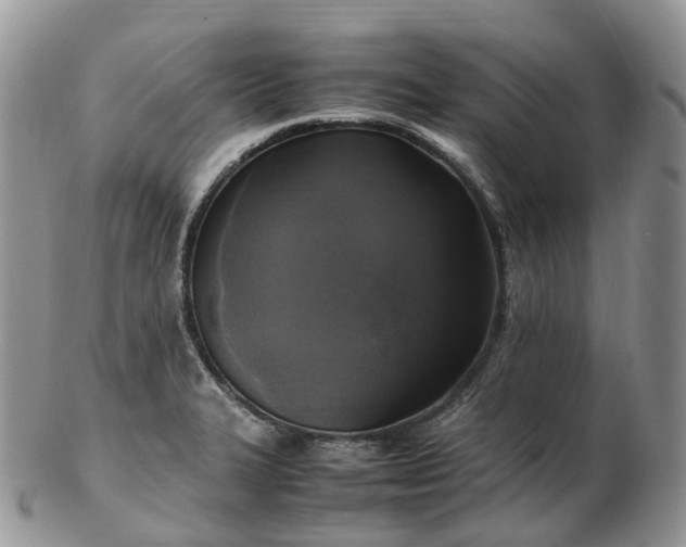 X0000102841327200808251147