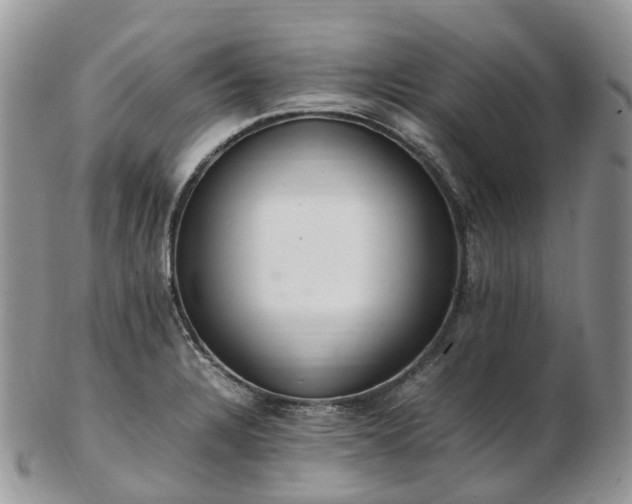 X0000102841328200808251147