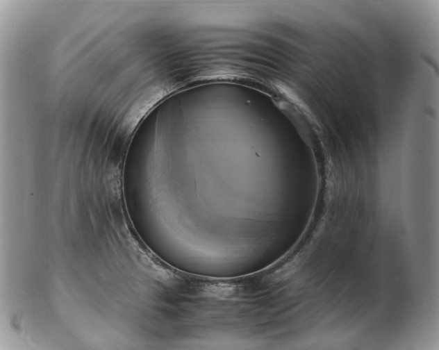 X0000102841329200808251147