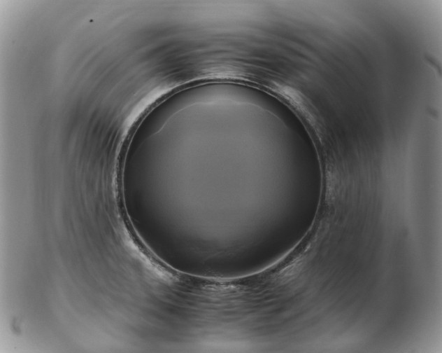 X0000102841331200808251147