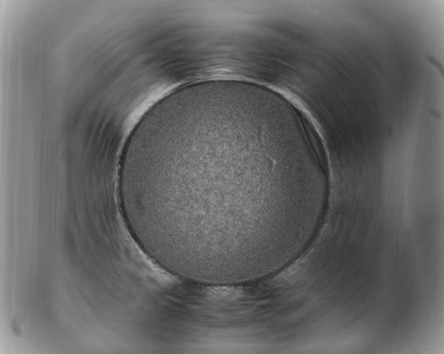 X0000102841333200808251147