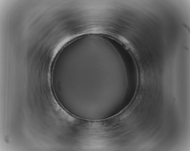 X0000102841334200808251147