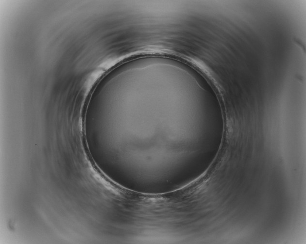 X0000102841335200808251147