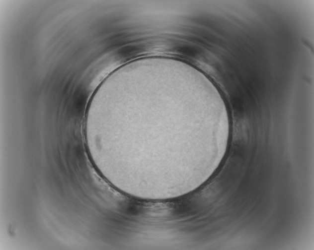 X0000102841338200808251147