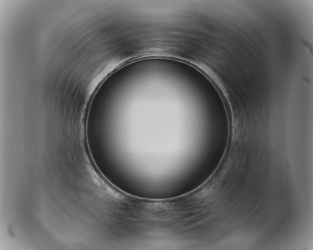 X0000102841341200808251147