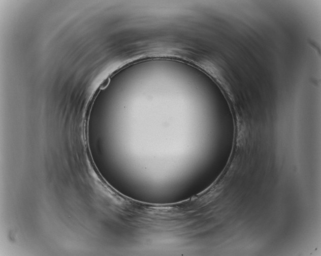 X0000102841342200808251147