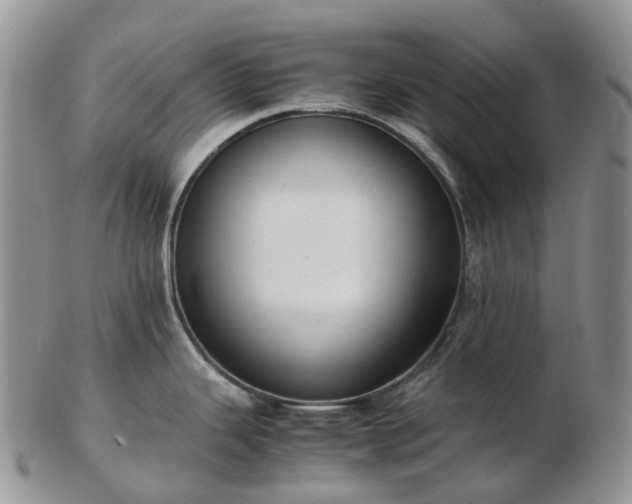 X0000102841343200808251147