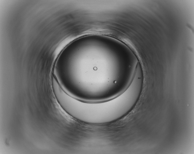 X0000102841344200808251147