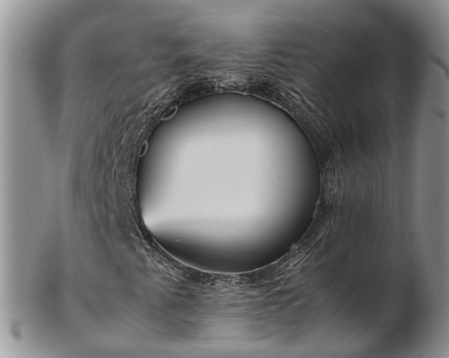 X0000102841345200808251147