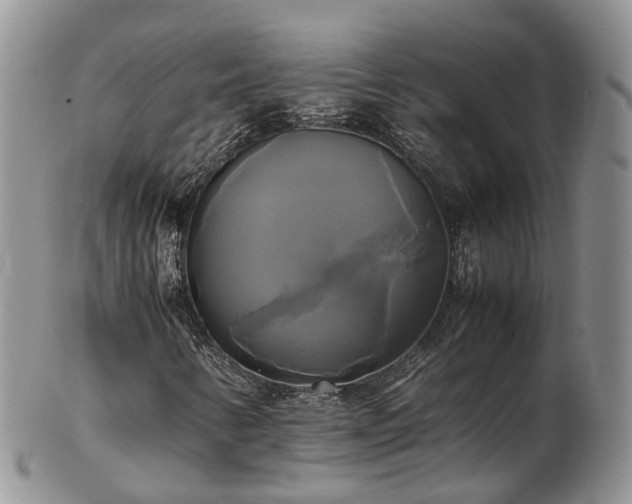 X0000102841346200808251147