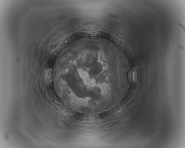 X0000102841347200808251147