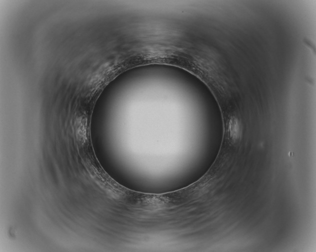 X0000102841348200808251147