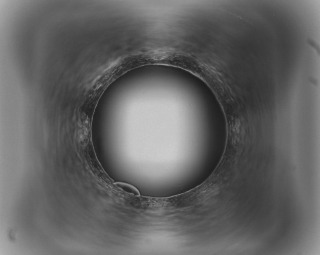 X0000102841349200808251147