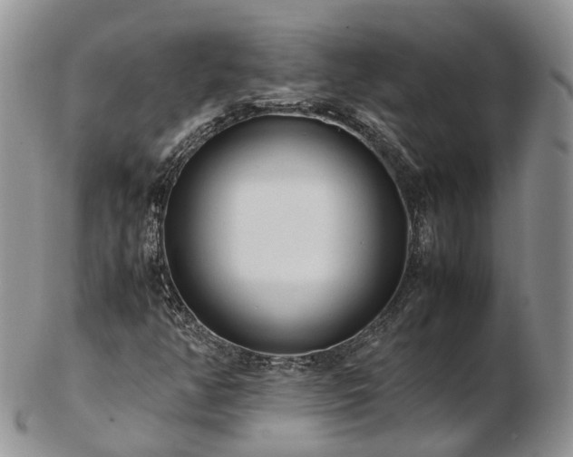 X0000102841350200808251147