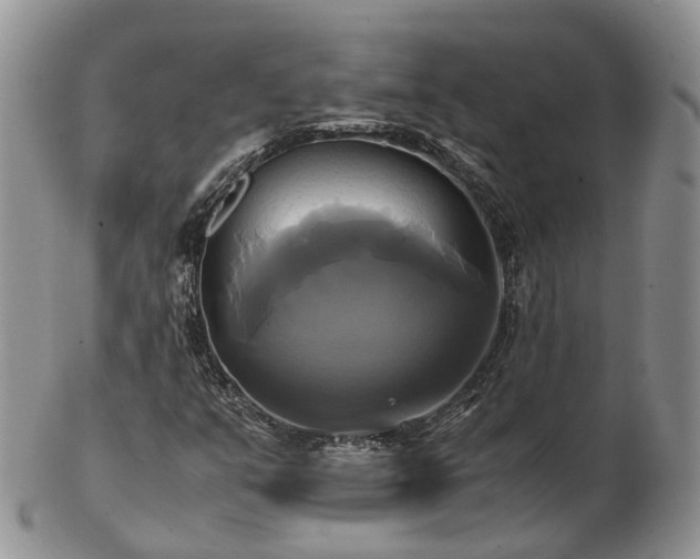 X0000102841351200808251147