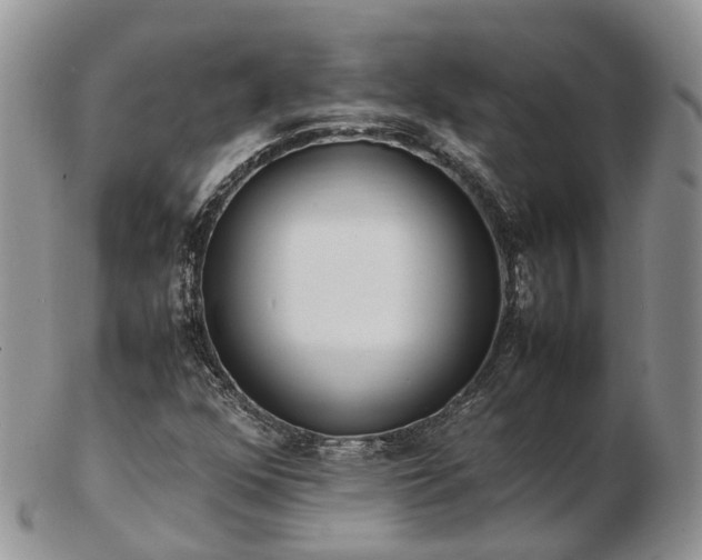 X0000102841352200808251147