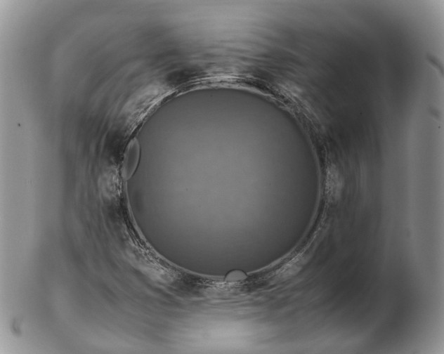 X0000102841353200808251147