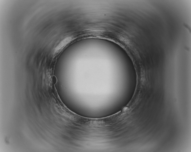 X0000102841354200808251147