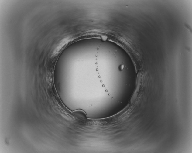 X0000102841355200808251147