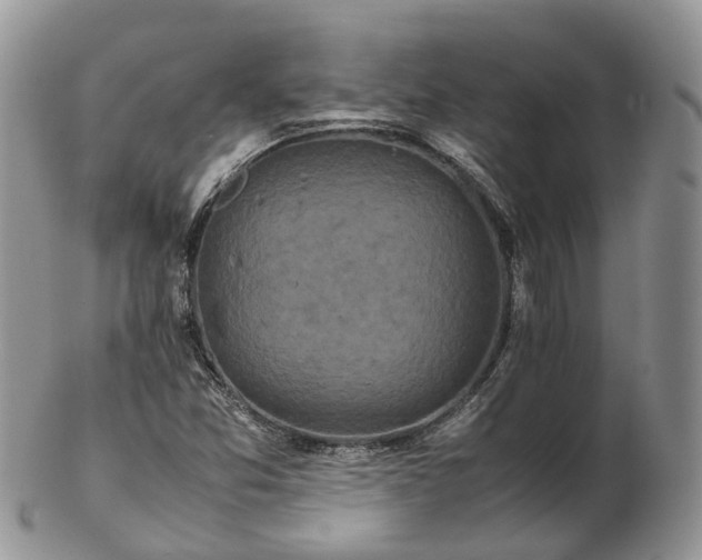 X0000102841357200808251147