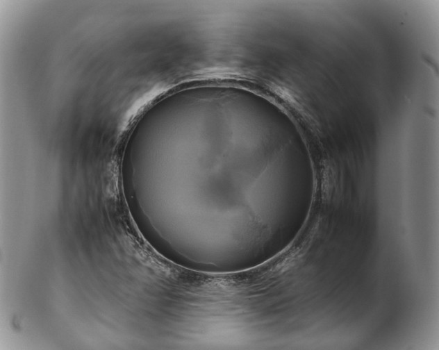 X0000102841358200808251147