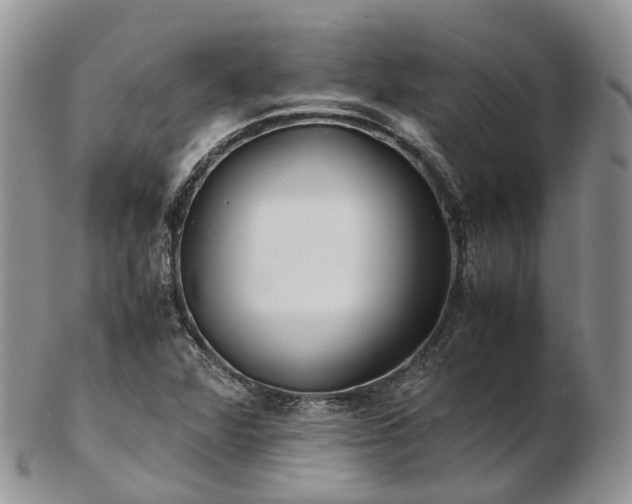 X0000102841360200808251147