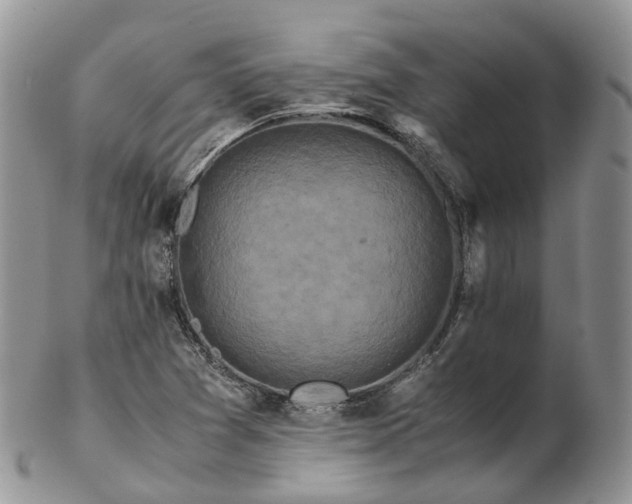 X0000102841361200808251146