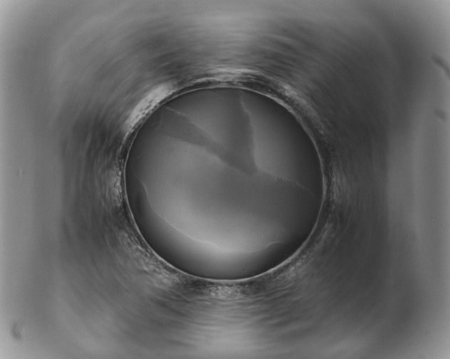 X0000102841362200808251146